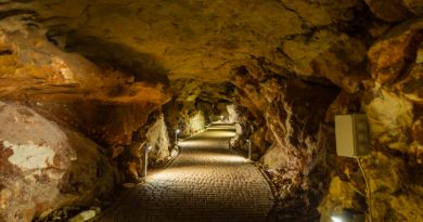 Экскурсии в Пещеру Таврида из Нового Света 2024