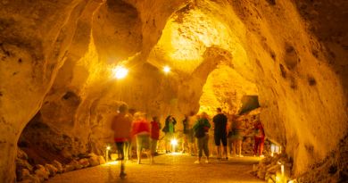 Экскурсия из Судака: пещера &quot;Таврида&quot; фото 11128