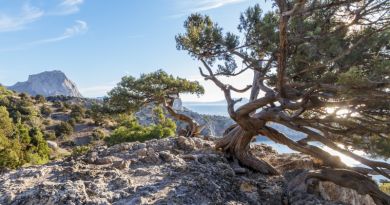 Новый Свет - пешком по тропе Голицына